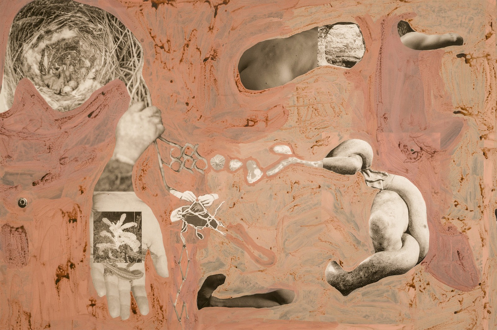 圖十二、《地勢(shì) (關(guān)于時(shí)間，關(guān)于身體)》 (細(xì)節(jié)圖)，O?zlem Alt?n，2019